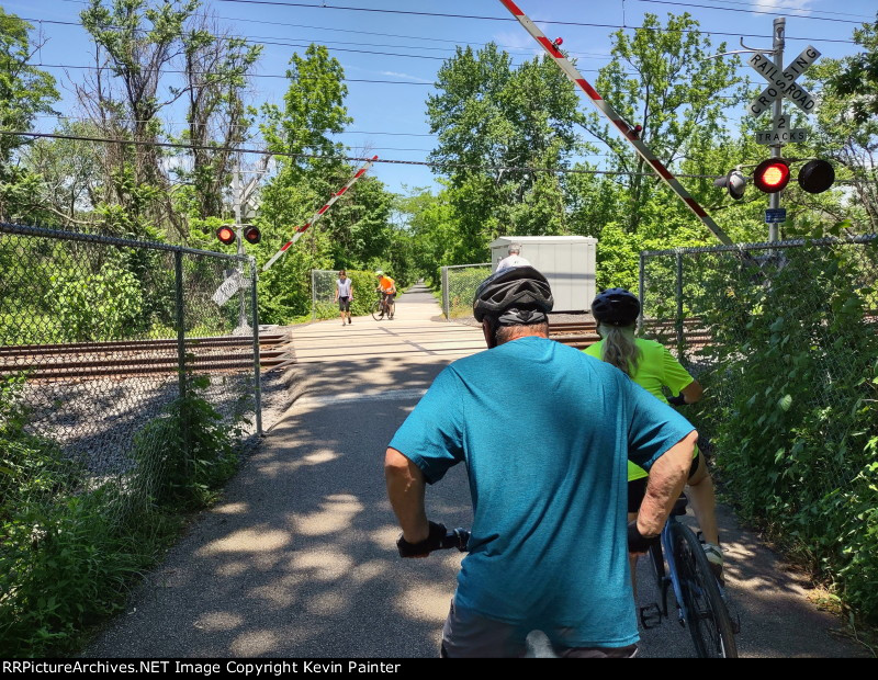 Pennypack Trail crossing